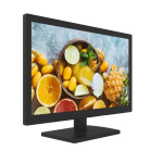 HIKVISION 18.5-inch Monitor DS-D5019QE-B