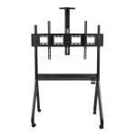 R-10 trolley stand for Interractive Panel